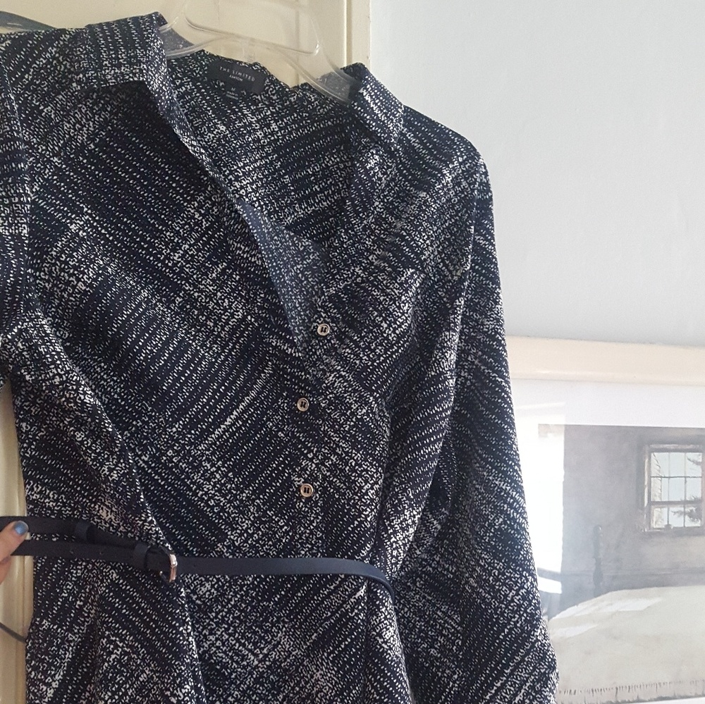 The Limited, shirt dress, with navy belt.